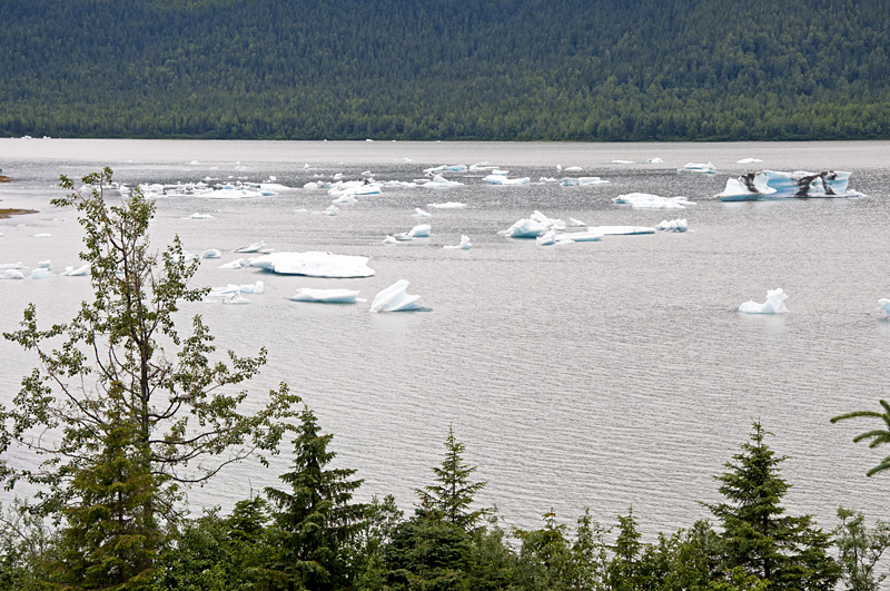 Iceberg pieces