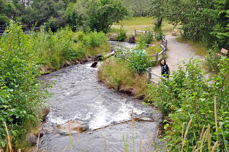 Local creek