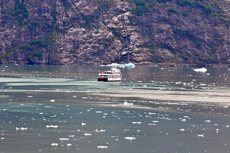 Another smaller cruise ship