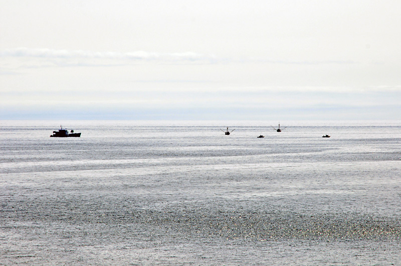 Fishing boats