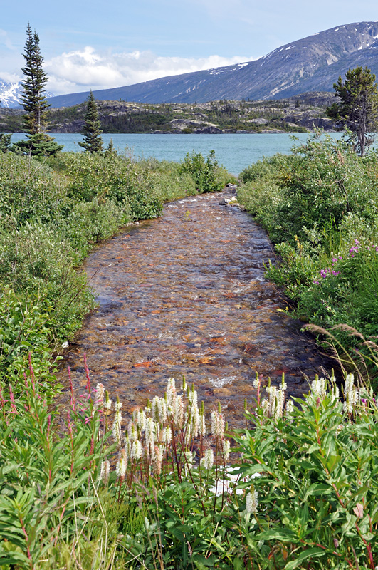 Nice creek in Fraser