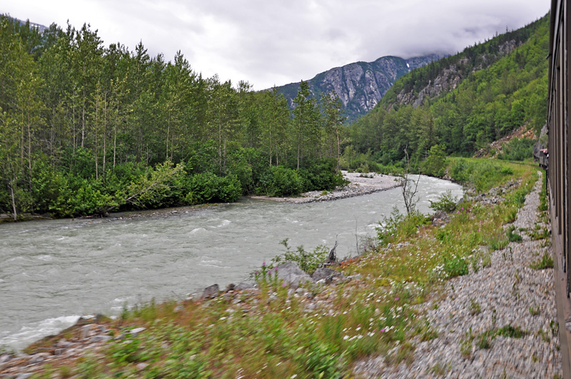 The train cruising along the river