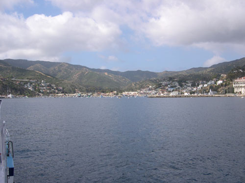 Catalina_Island04.jpg