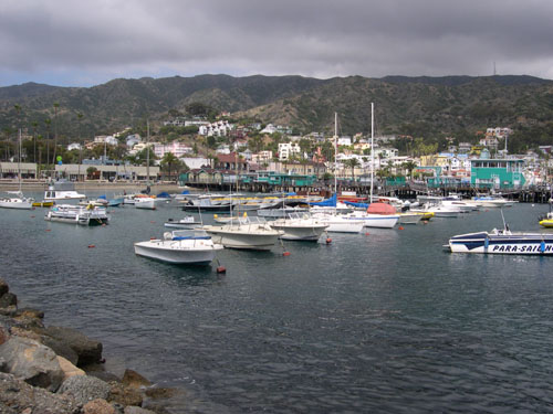 Catalina_Island05.jpg