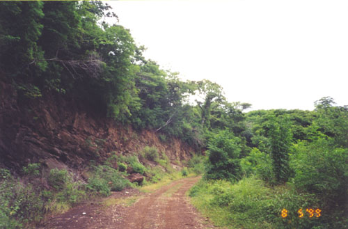 Costa_Rica_4_wheeling05.jpg