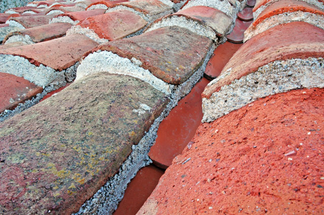 Rooftop_closeup_jpg.jpg