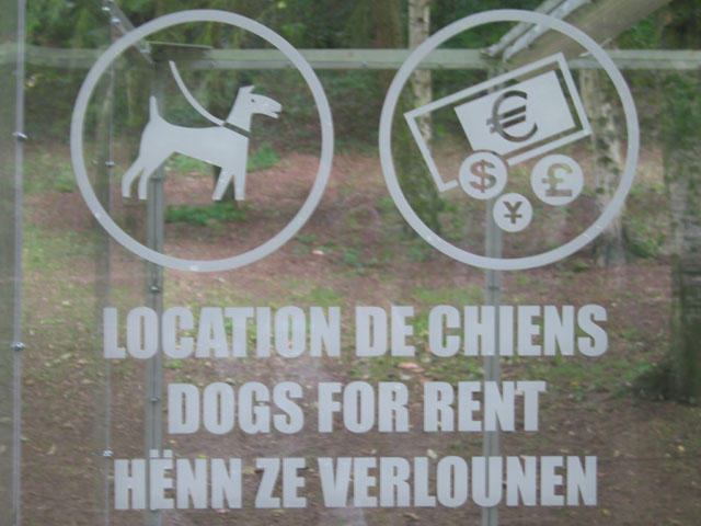 Dogs_for_rent.jpg