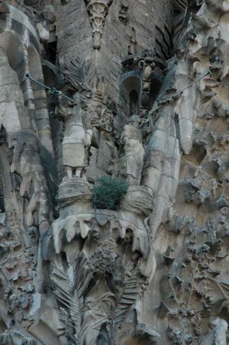 Closeup_of_Sagrada_Famlia_3.jpg