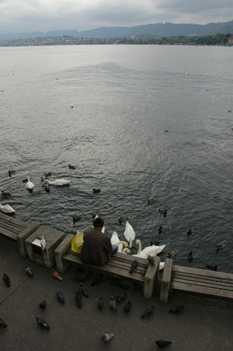 Feeding_the_birds.jpg