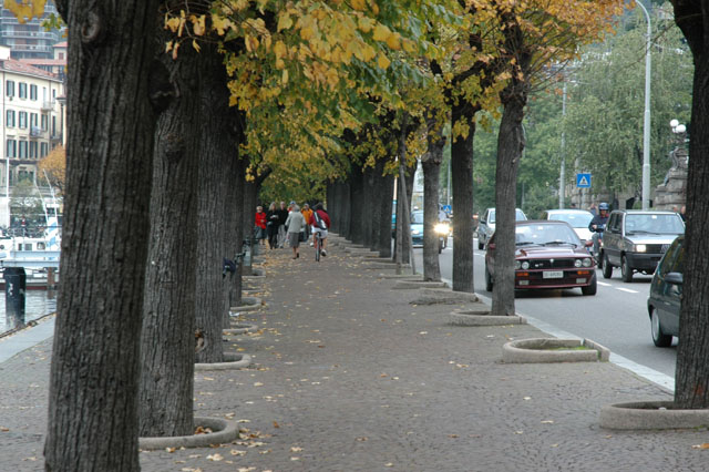 Walkway_along_the_lake_2.jpg