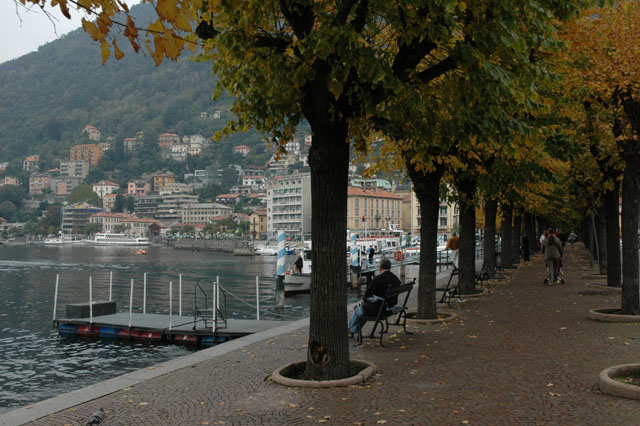 Walkway_along_the_lake_3.jpg