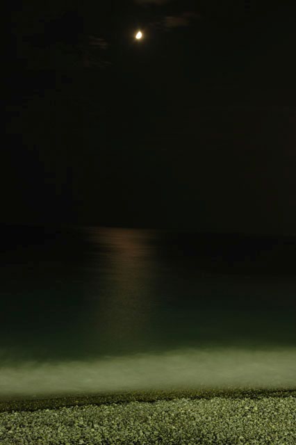 Moonlight_on_the_beach.jpg