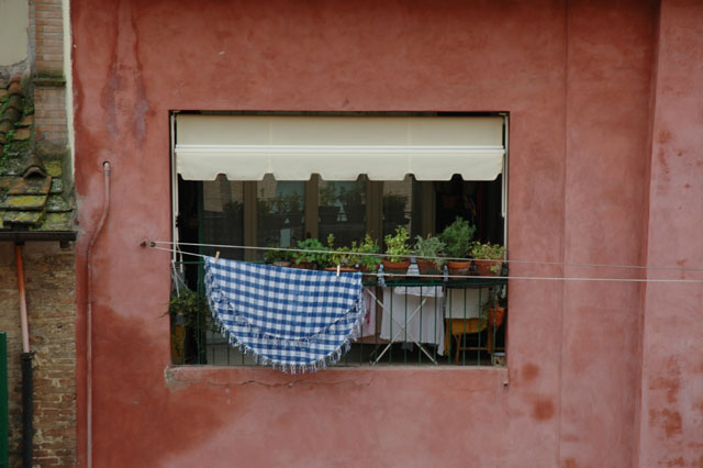 Closeup_of_a_local_window.jpg