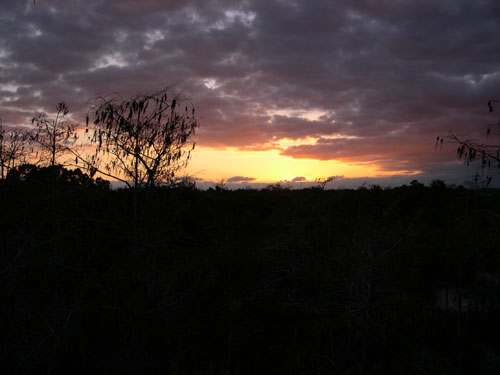 Everglades10.jpg