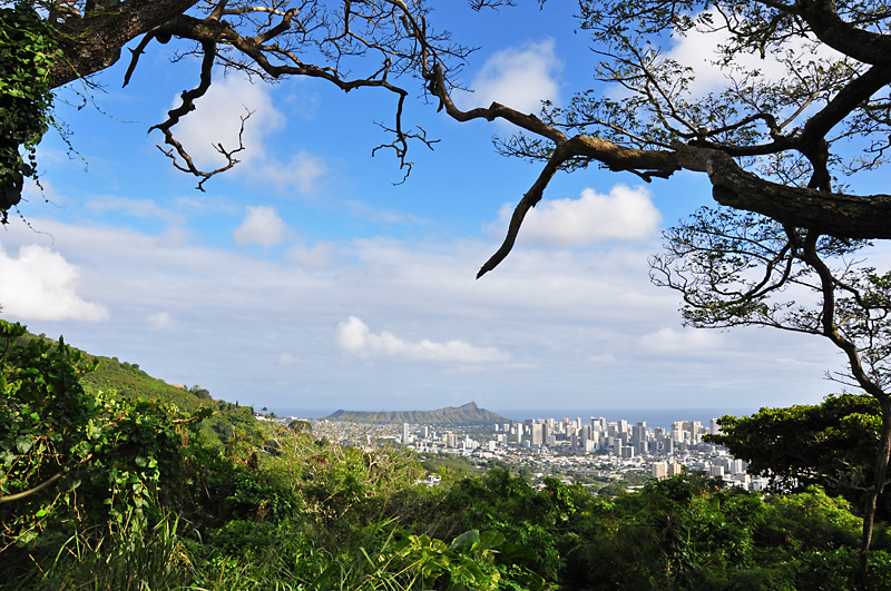 A city view from a lookout on Roundtop Rd.jpg