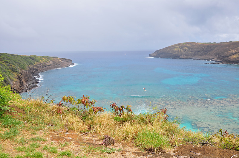 Another view of Hanauma Bay.jpg