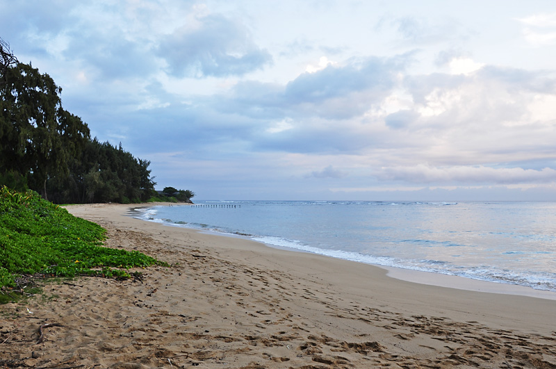 Beach on the windward side, looking north.jpg