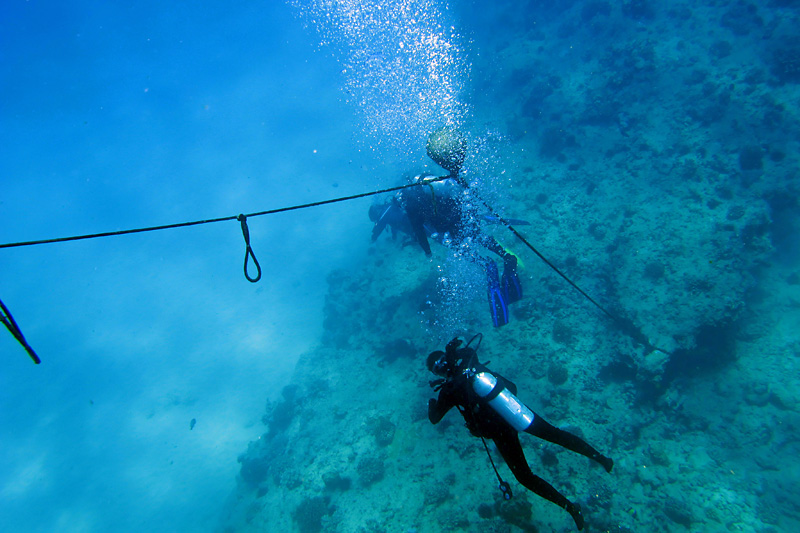 Descending on my first scuba dive.jpg