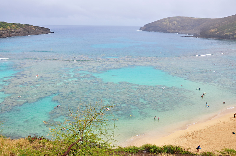 The full view of Hanauma Bay.jpg