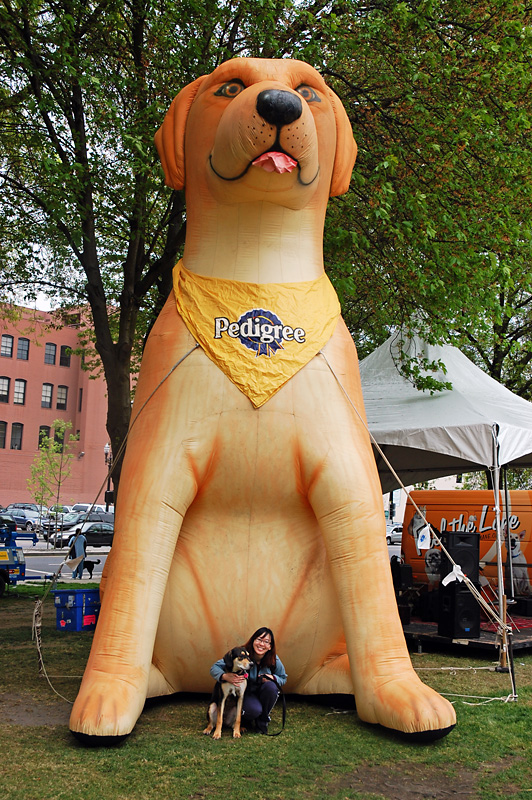 Charlotte and Mulder at the Doggie Dash.jpg