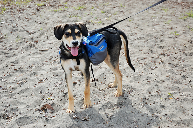 Day hike on Sauvies Island.jpg