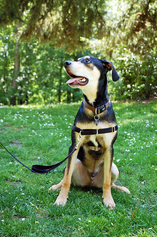 Hiking at Kelly Point Park2.jpg