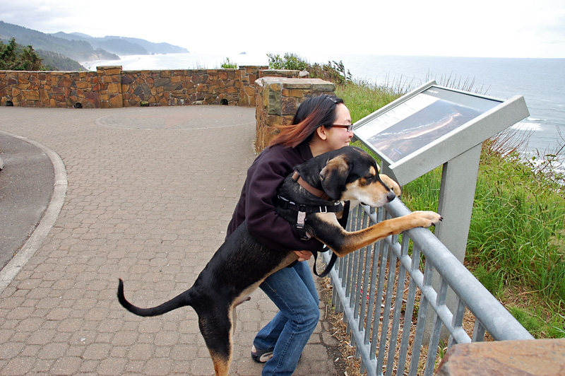 Mulder gets his first look at the Pacific Ocean.jpg