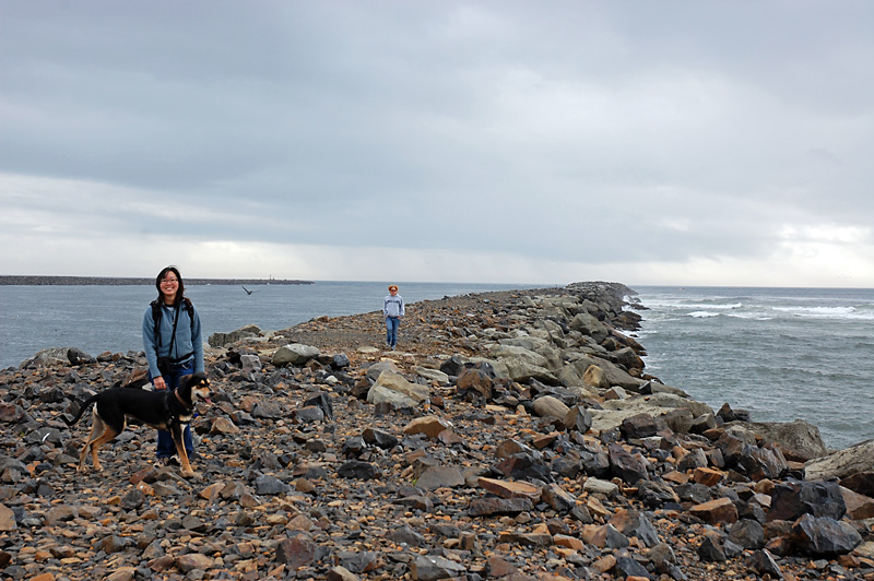 Newport jetty.jpg