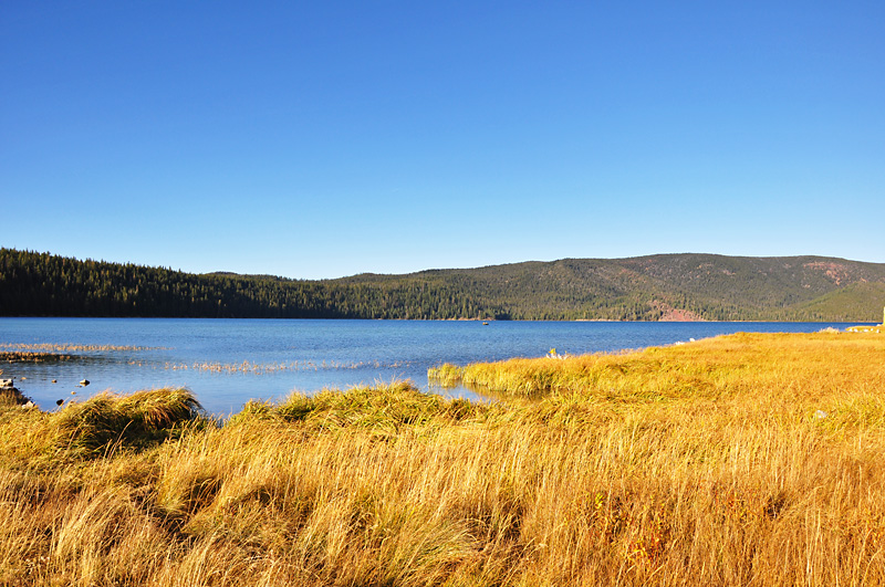 East Lake in Newberry.jpg