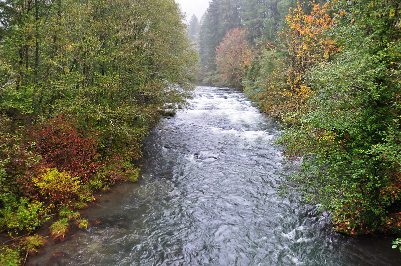 Mckenzie river the other direction.jpg