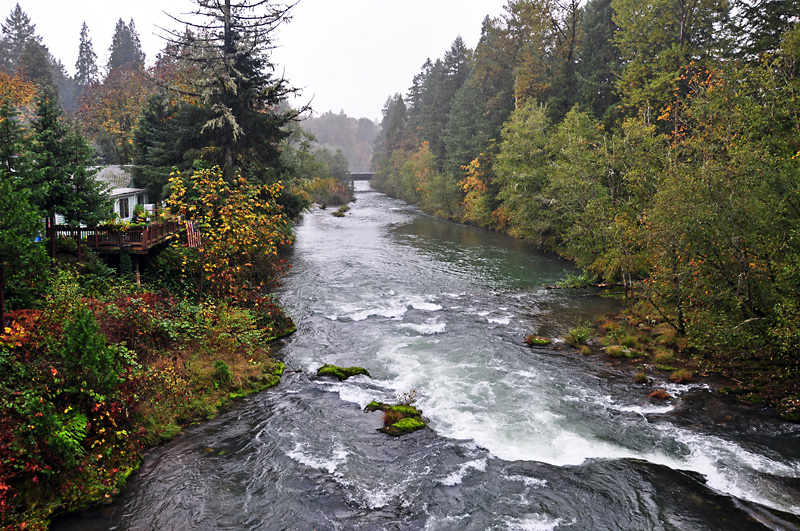 Mckenzie river.jpg