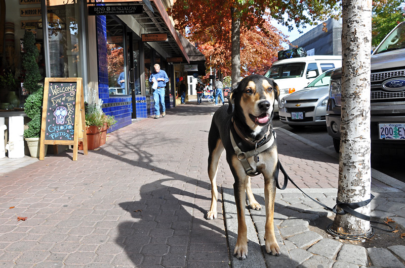 Mulder greeting passerbys in Downtown Bend.jpg