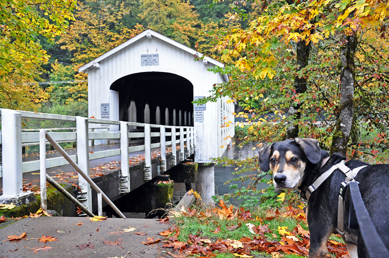 Mulder says lets go down to the river.jpg