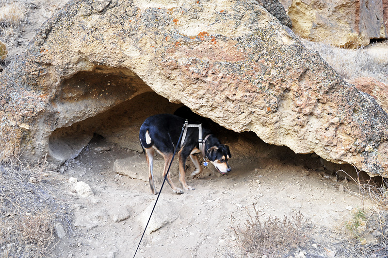 Mulder scopes out a cave, just in case we need shelter.jpg