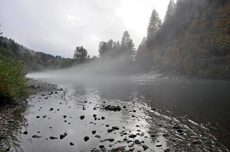 The Mckenzie river.jpg