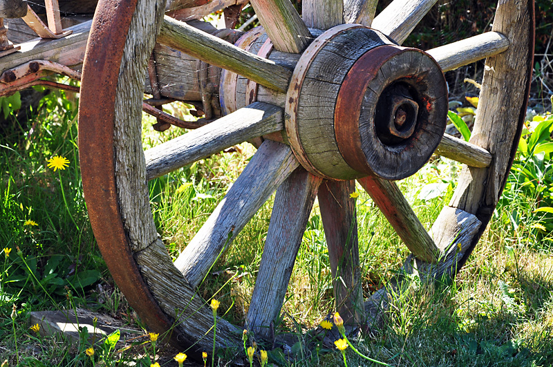 Charlotte tries to recreate her famous wheel picture.jpg