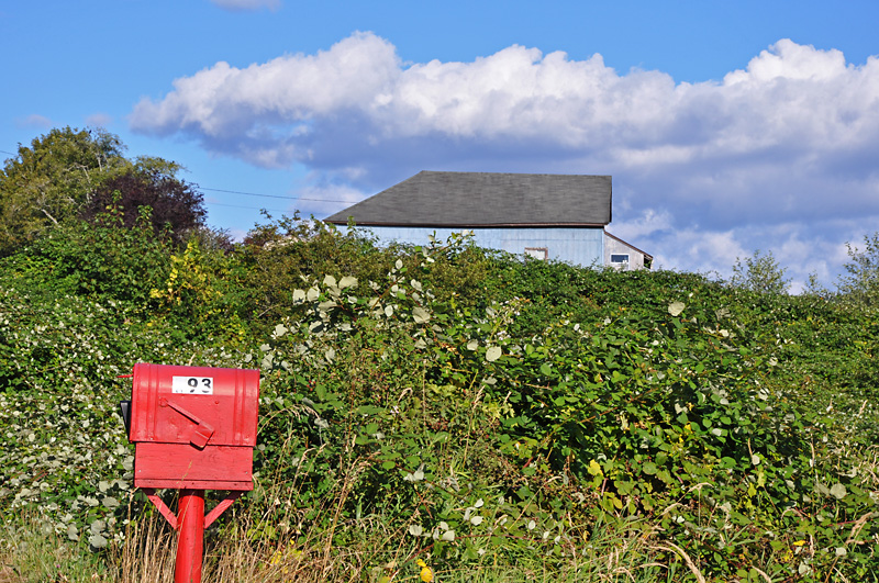 House along the road to Grays Covered Bridge.jpg