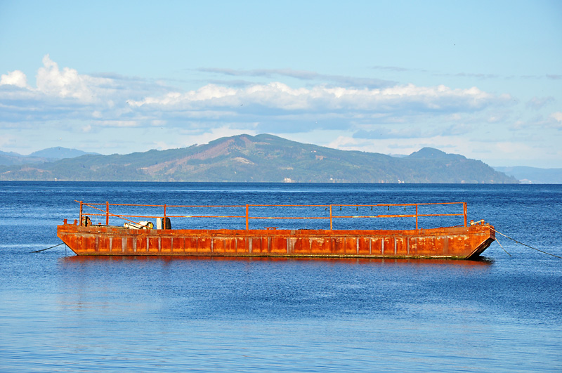 Rusty old boat in the Columbia.jpg