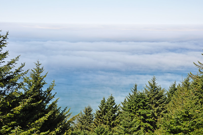 A foggy Pacific view