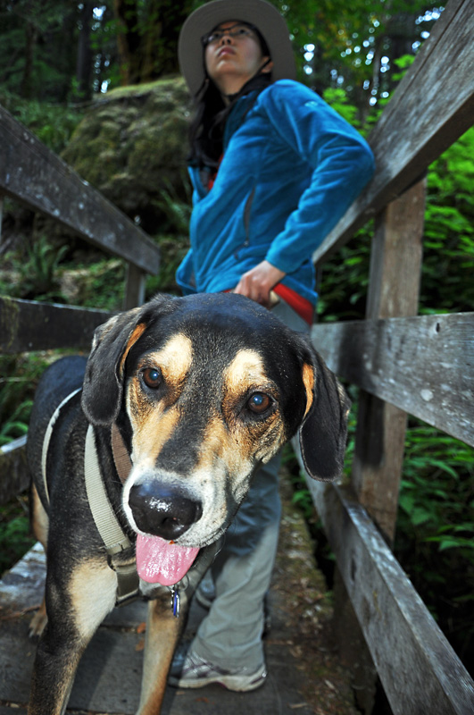 Charlotte and Mulder hiking the Oregon Redwoods