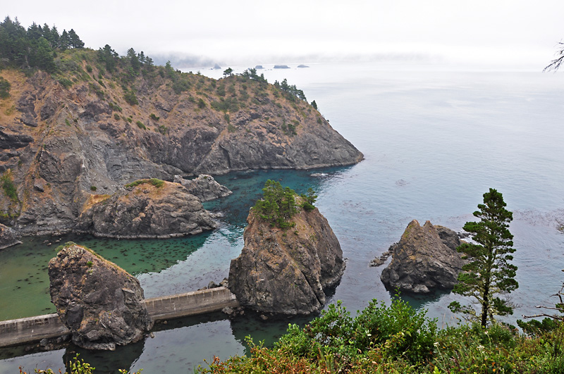 Looking south from the Port Orford Heads trail