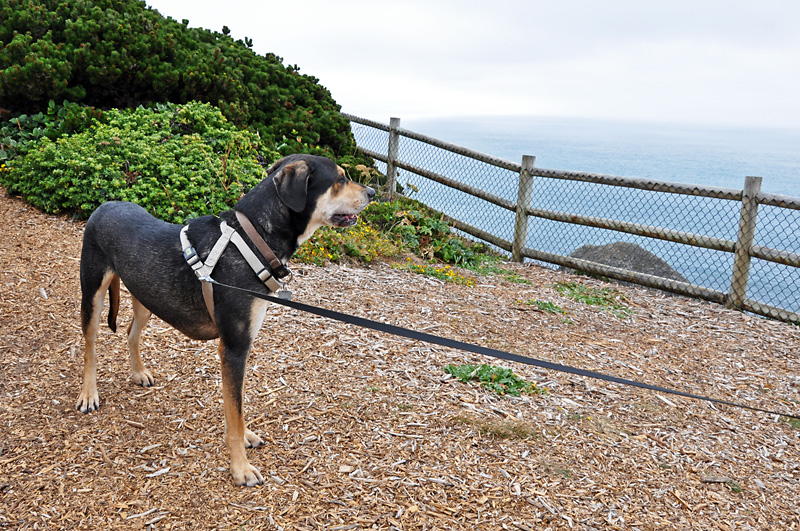 Mulder loves the smell of the ocean