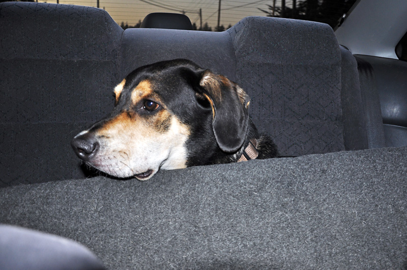 Mulder makes a den out of his bed in the backseat