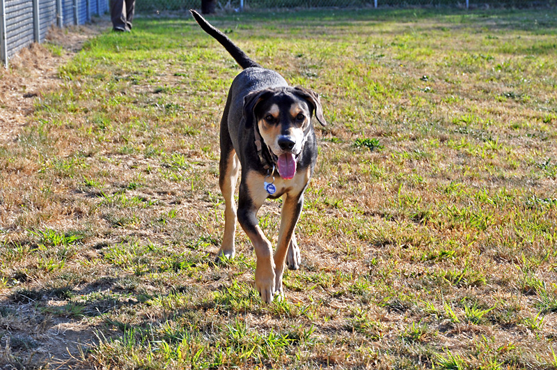 Mulder still had fun stretching his legs after the long car ride