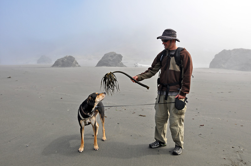 Mulder wants to try some kelp