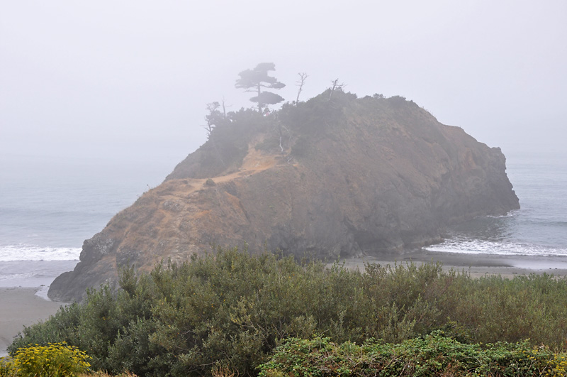 Near Port Orford