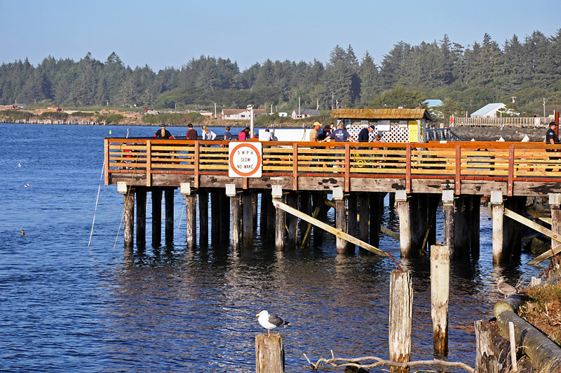 The Bandon Pier