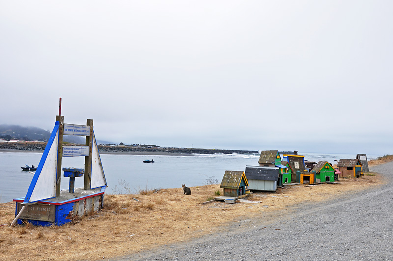 This stray cat sanctuary at the mouth of the Rogue River is really cool