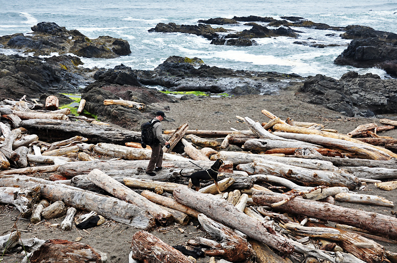 Climbing on the driftwood.jpg