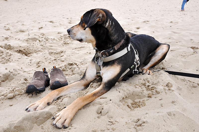 Mulder kicks back in the sand.jpg